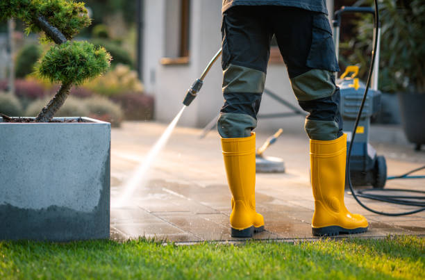 Best Residential Pressure Washing Services  in Howell, MI